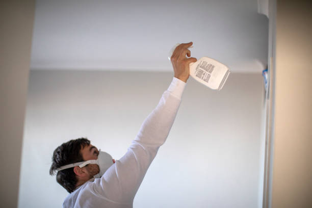 Home Mold Removal in Bessemer, AL