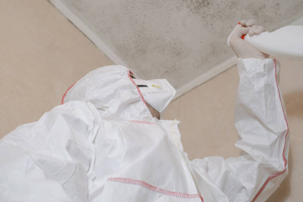 Best Toxic Mold Removal  in Bessemer, AL